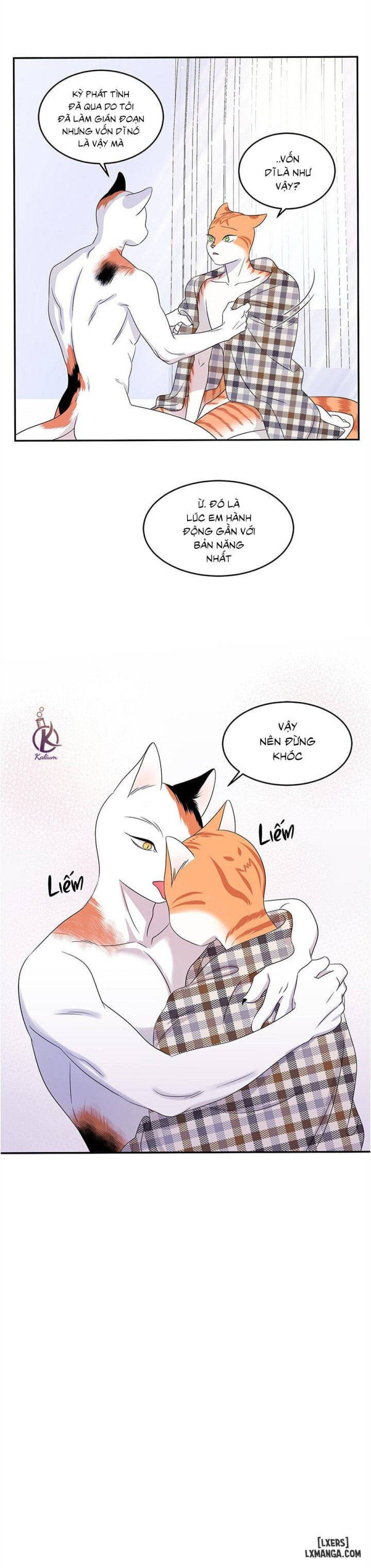 đọc truyện Dự Án Xanh Chương 4 ảnh 4 tại Thiên Thai Truyện