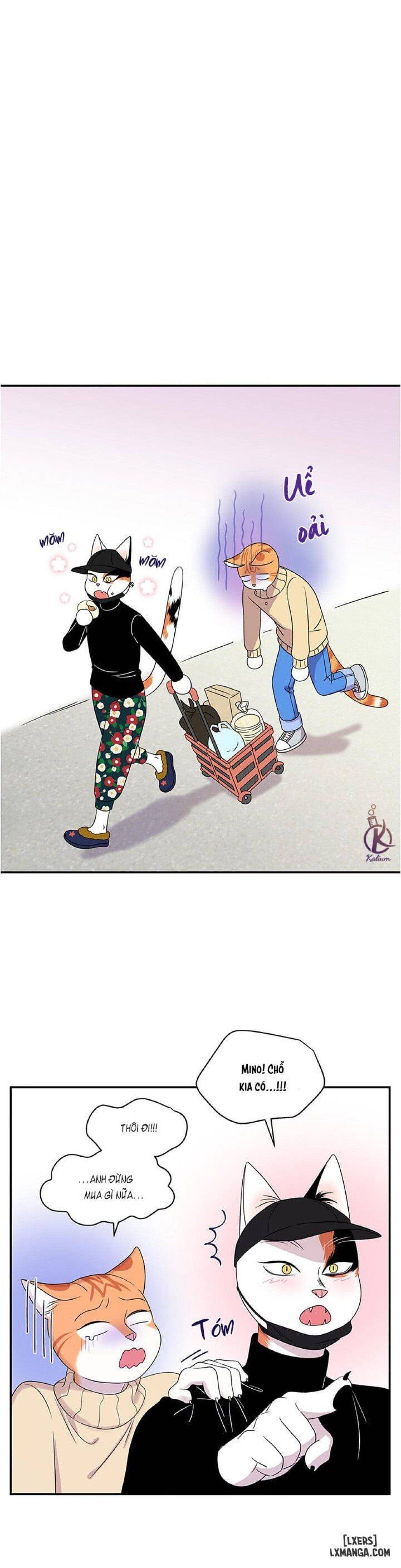 đọc truyện Dự Án Xanh Chương 4 ảnh 22 tại Thiên Thai Truyện