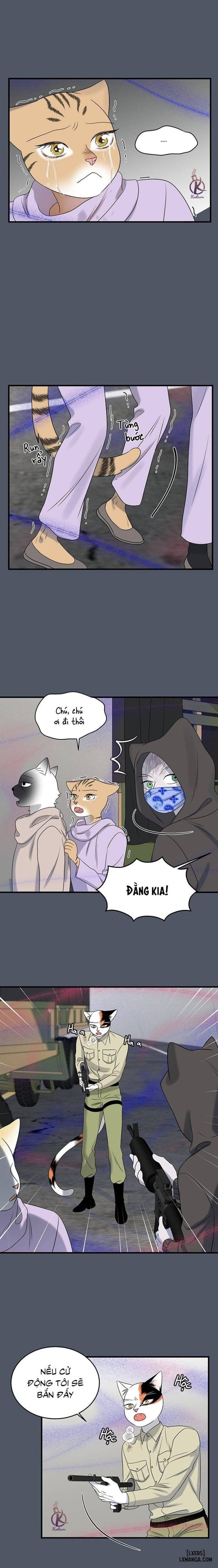 đọc truyện Dự Án Xanh Chương 40 ảnh 12 tại Thiên Thai Truyện