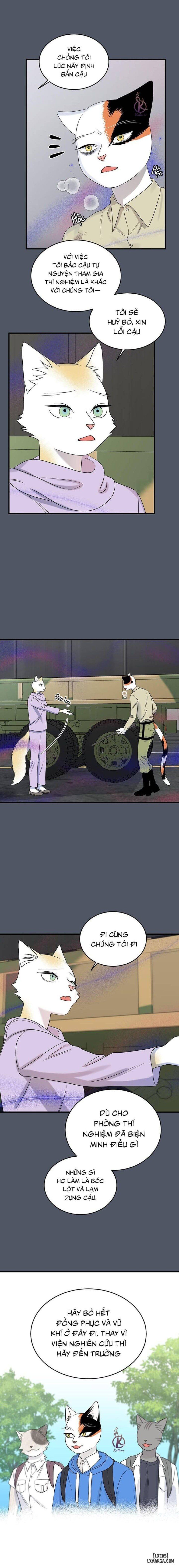 đọc truyện Dự Án Xanh Chương 40 ảnh 14 tại Thiên Thai Truyện