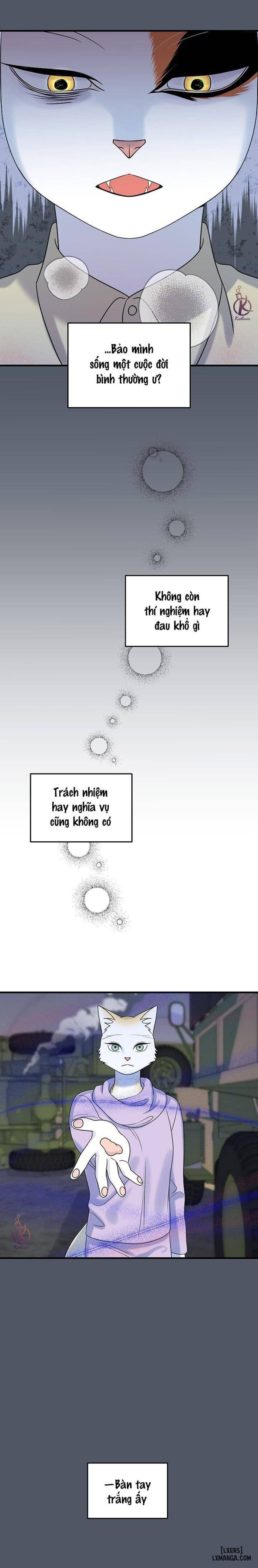 đọc truyện Dự Án Xanh Chương 40 ảnh 16 tại Thiên Thai Truyện