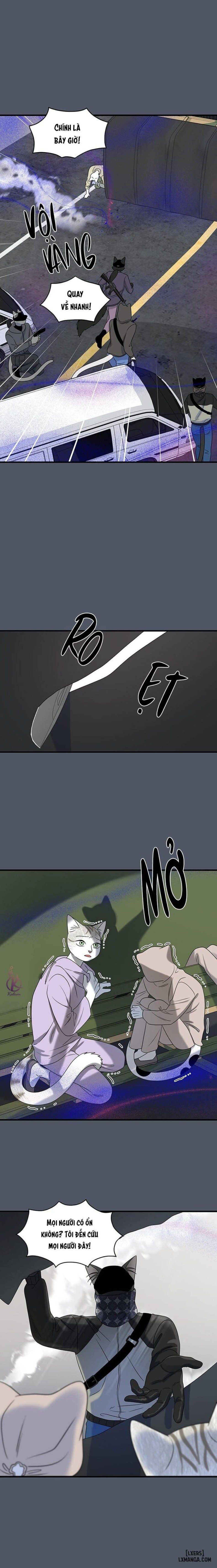 đọc truyện Dự Án Xanh Chương 40 ảnh 5 tại Thiên Thai Truyện