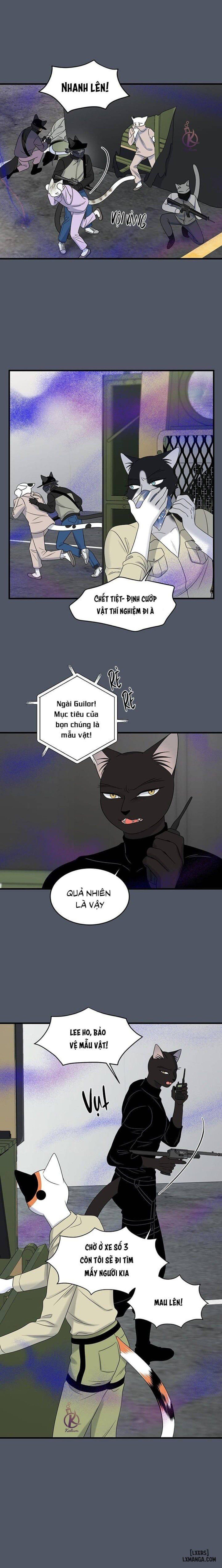 đọc truyện Dự Án Xanh Chương 40 ảnh 6 tại Thiên Thai Truyện