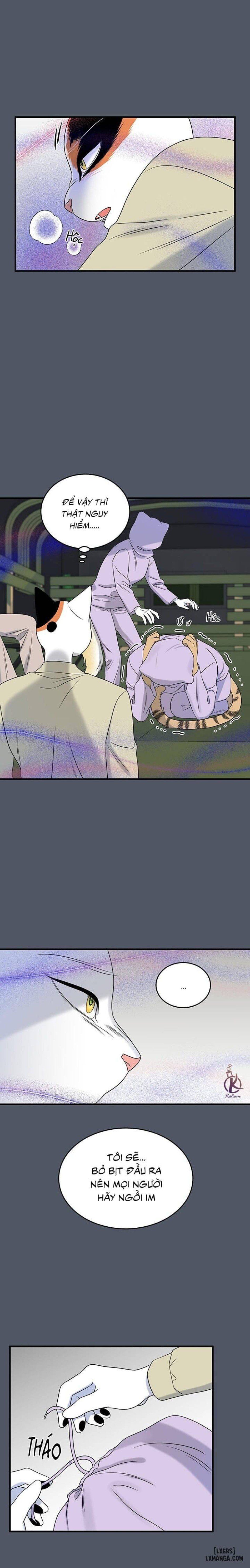 đọc truyện Dự Án Xanh Chương 40 ảnh 7 tại Thiên Thai Truyện