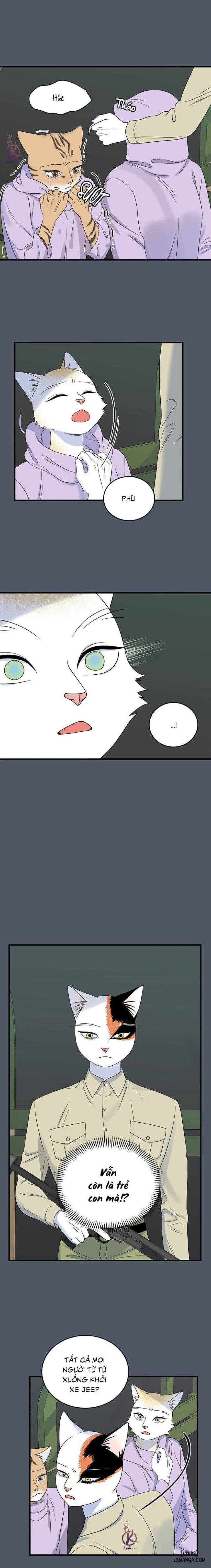 đọc truyện Dự Án Xanh Chương 40 ảnh 8 tại Thiên Thai Truyện