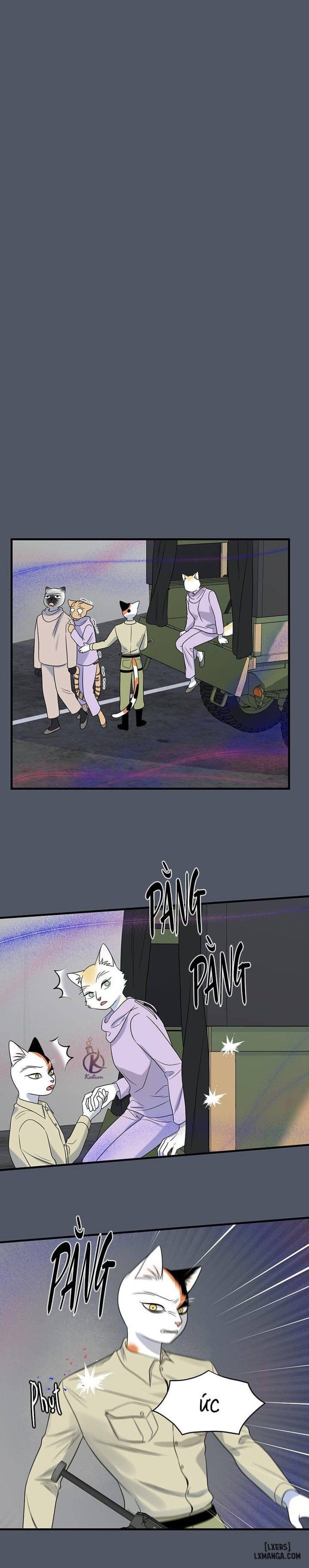 đọc truyện Dự Án Xanh Chương 40 ảnh 9 tại Thiên Thai Truyện