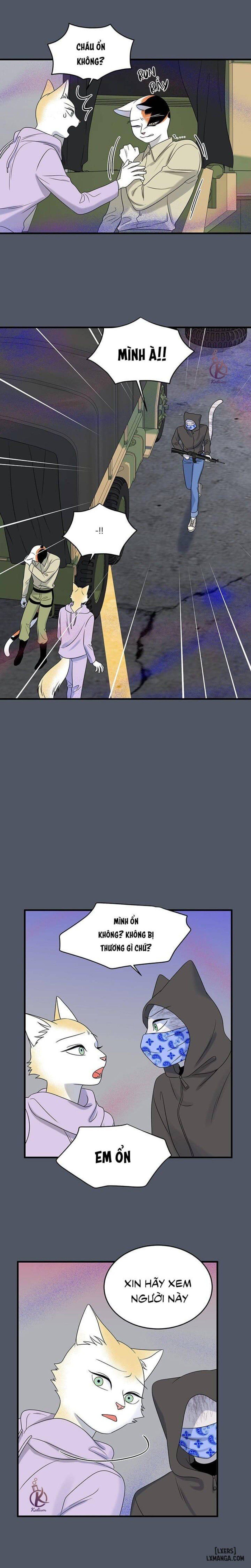 đọc truyện Dự Án Xanh Chương 40 ảnh 10 tại Thiên Thai Truyện