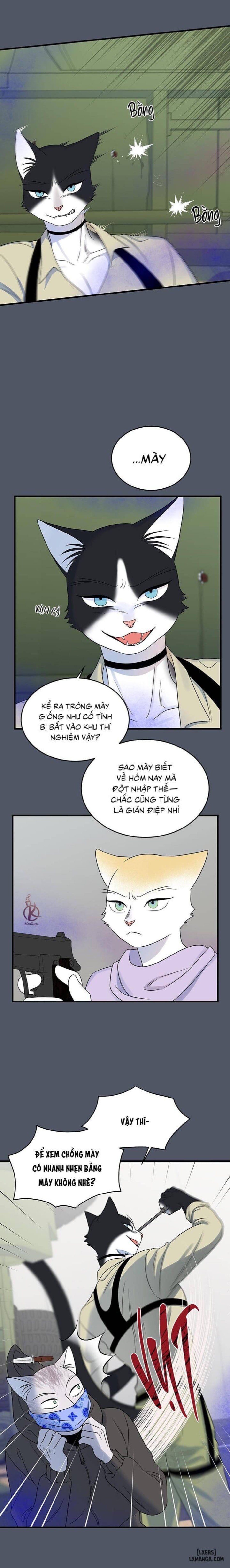 đọc truyện Dự Án Xanh Chương 41 ảnh 13 tại Thiên Thai Truyện