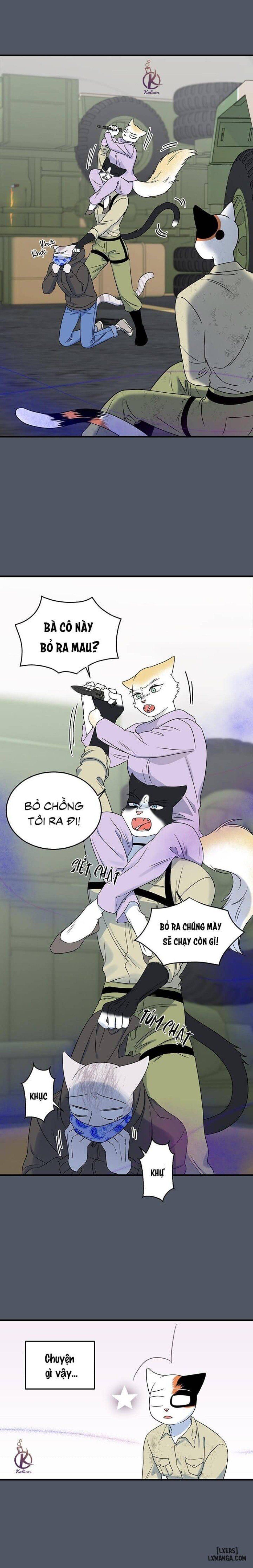 đọc truyện Dự Án Xanh Chương 41 ảnh 16 tại Thiên Thai Truyện