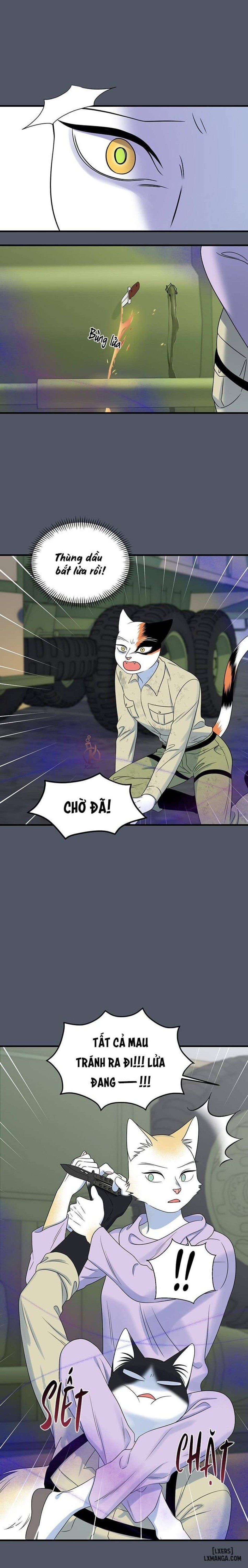 đọc truyện Dự Án Xanh Chương 41 ảnh 17 tại Thiên Thai Truyện