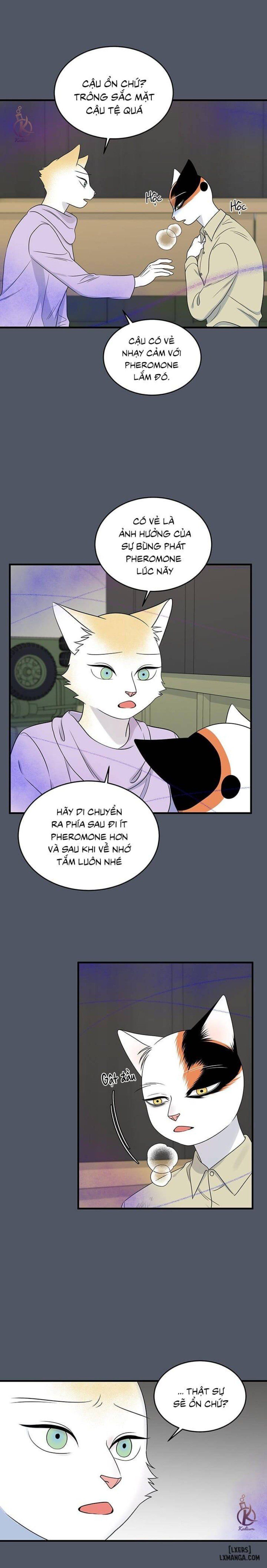 đọc truyện Dự Án Xanh Chương 41 ảnh 4 tại Thiên Thai Truyện