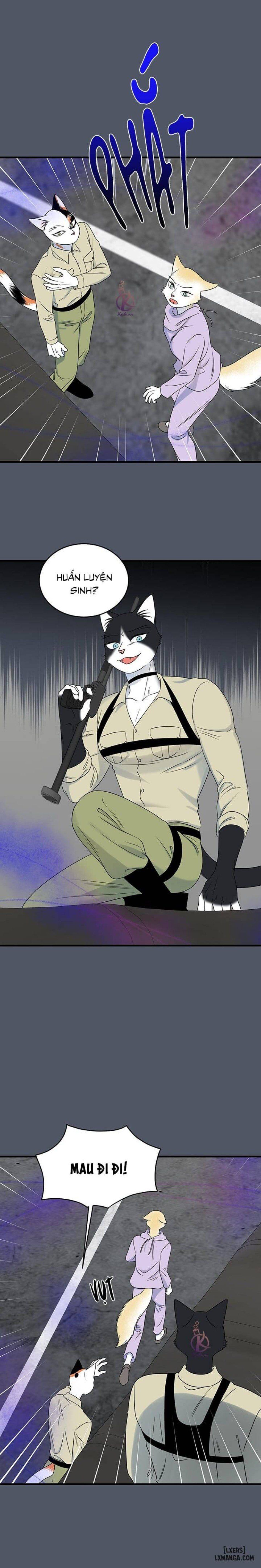 đọc truyện Dự Án Xanh Chương 41 ảnh 6 tại Thiên Thai Truyện