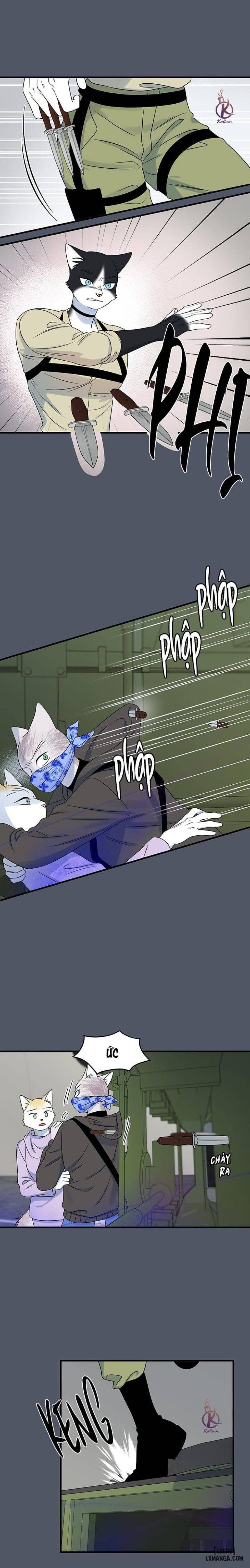 đọc truyện Dự Án Xanh Chương 41 ảnh 8 tại Thiên Thai Truyện