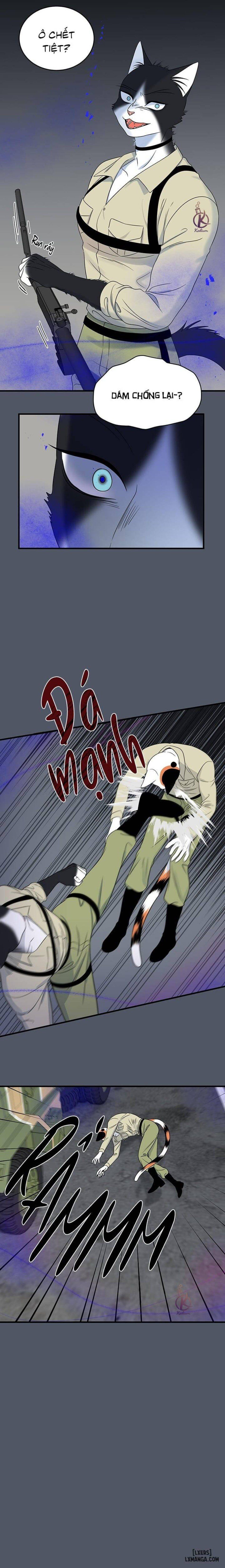 đọc truyện Dự Án Xanh Chương 41 ảnh 10 tại Thiên Thai Truyện