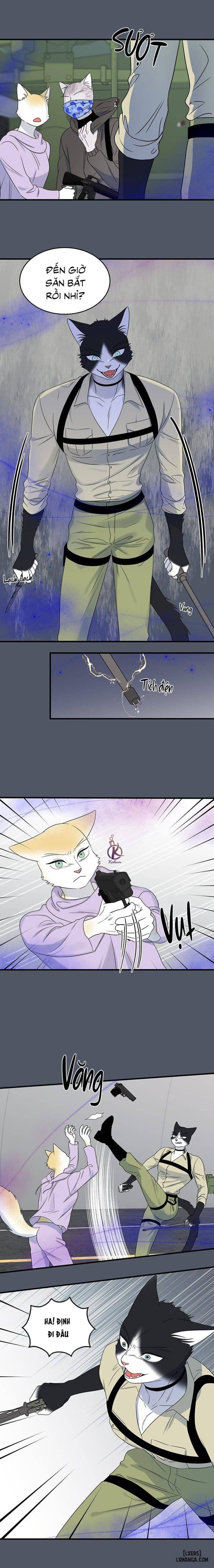 đọc truyện Dự Án Xanh Chương 41 ảnh 11 tại Thiên Thai Truyện