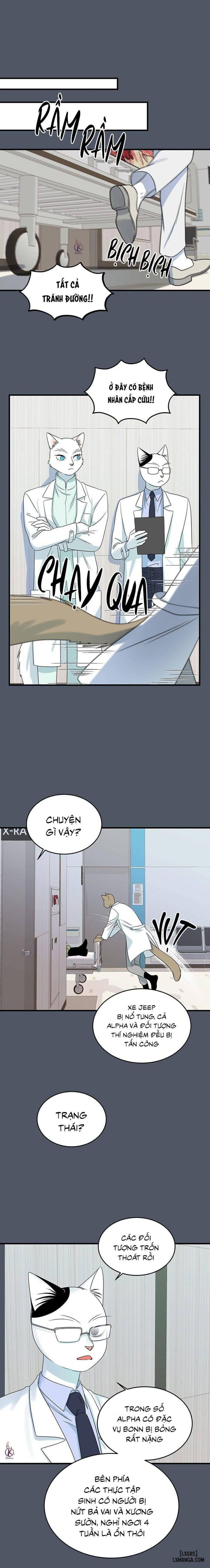 đọc truyện Dự Án Xanh Chương 42 ảnh 2 tại Thiên Thai Truyện