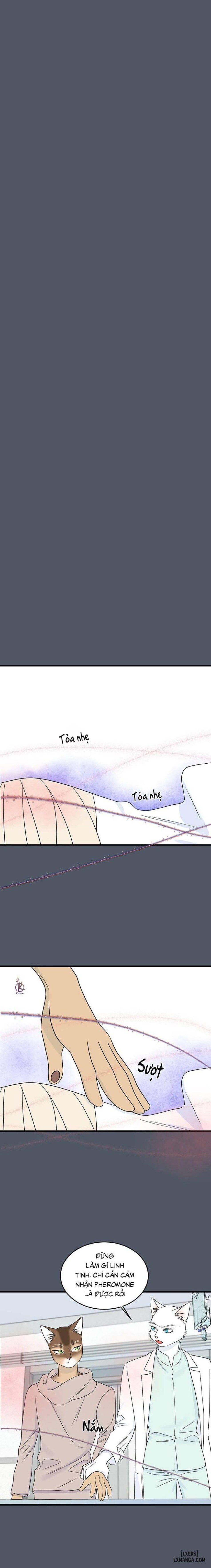 đọc truyện Dự Án Xanh Chương 42 ảnh 13 tại Thiên Thai Truyện