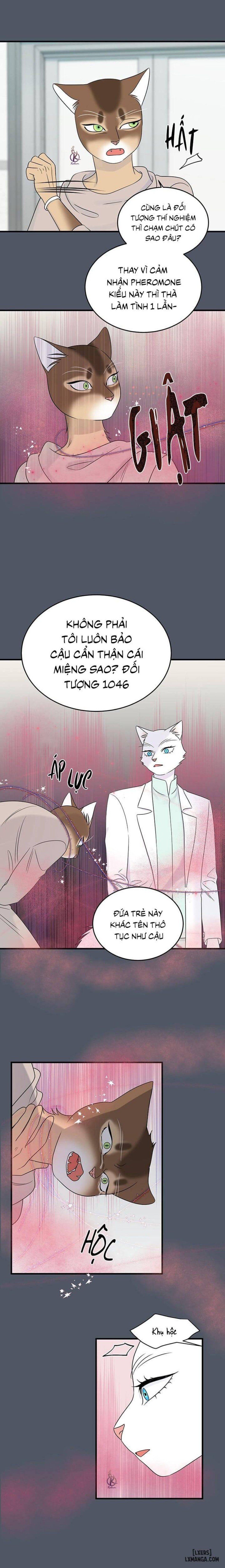 đọc truyện Dự Án Xanh Chương 42 ảnh 14 tại Thiên Thai Truyện