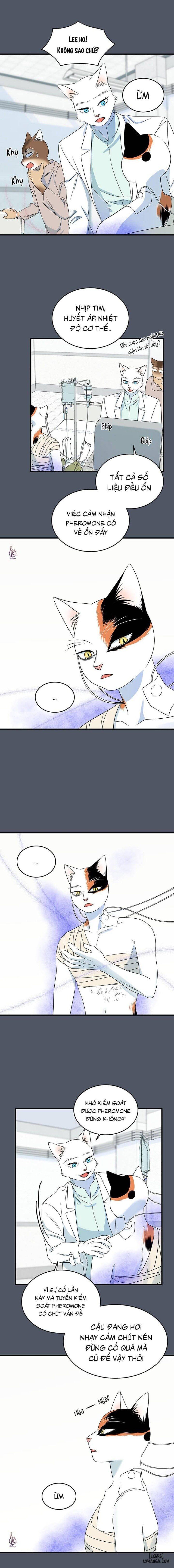 đọc truyện Dự Án Xanh Chương 42 ảnh 15 tại Thiên Thai Truyện