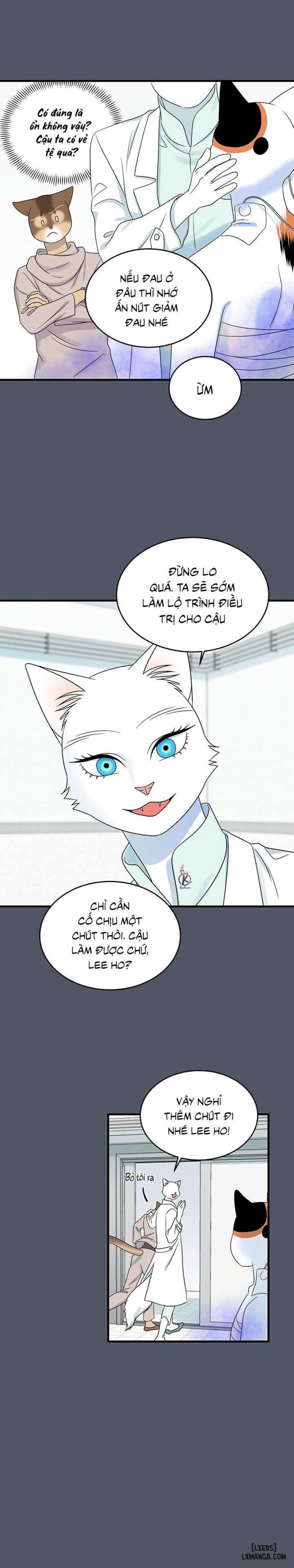 đọc truyện Dự Án Xanh Chương 42 ảnh 16 tại Thiên Thai Truyện