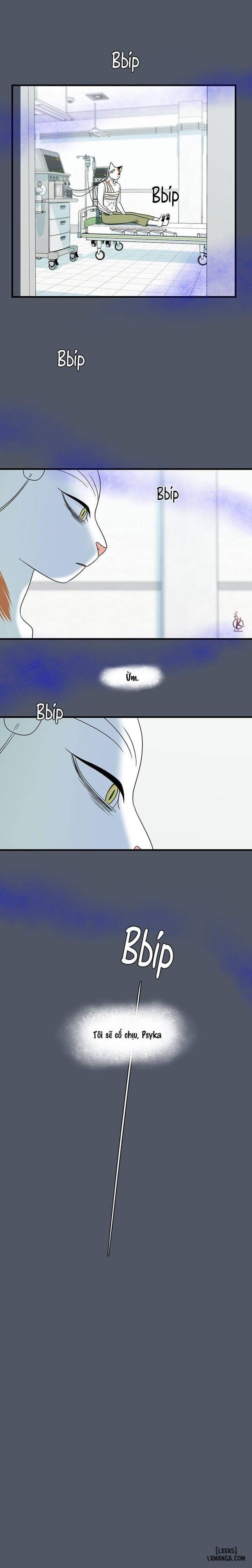 đọc truyện Dự Án Xanh Chương 42 ảnh 17 tại Thiên Thai Truyện