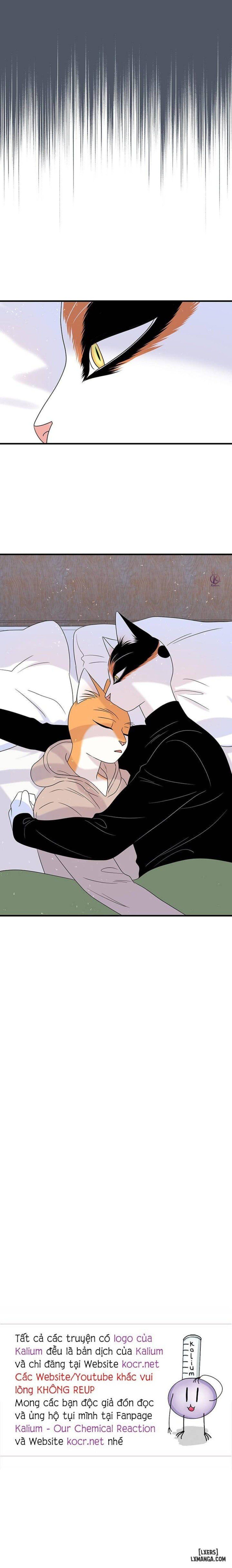 đọc truyện Dự Án Xanh Chương 42 ảnh 18 tại Thiên Thai Truyện