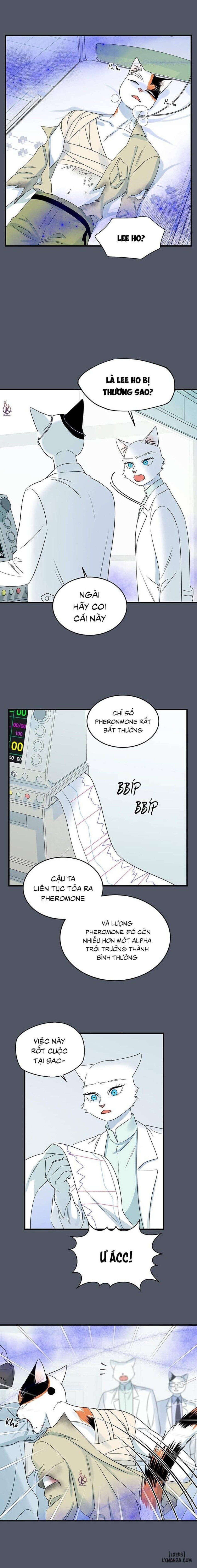 đọc truyện Dự Án Xanh Chương 42 ảnh 4 tại Thiên Thai Truyện