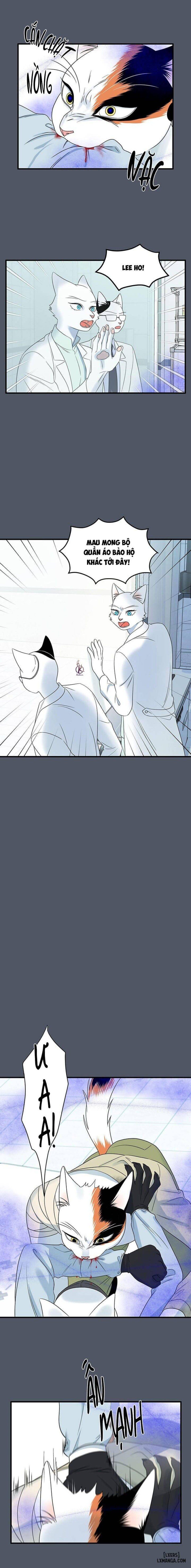 đọc truyện Dự Án Xanh Chương 42 ảnh 5 tại Thiên Thai Truyện