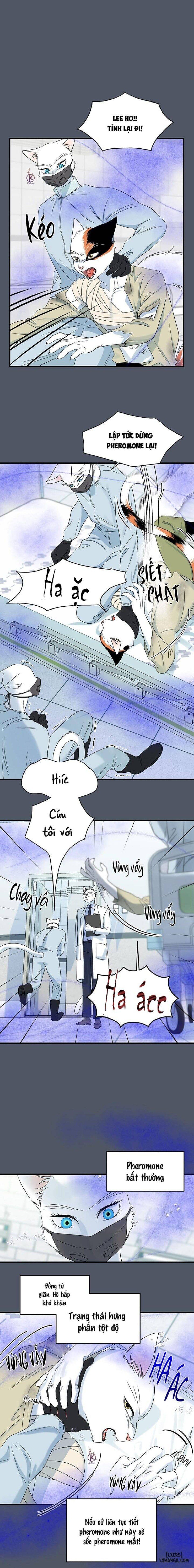 đọc truyện Dự Án Xanh Chương 42 ảnh 6 tại Thiên Thai Truyện