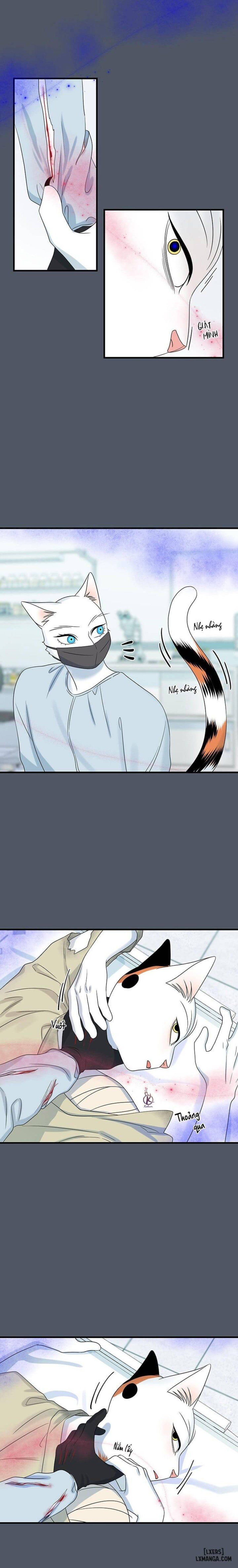 đọc truyện Dự Án Xanh Chương 42 ảnh 7 tại Thiên Thai Truyện