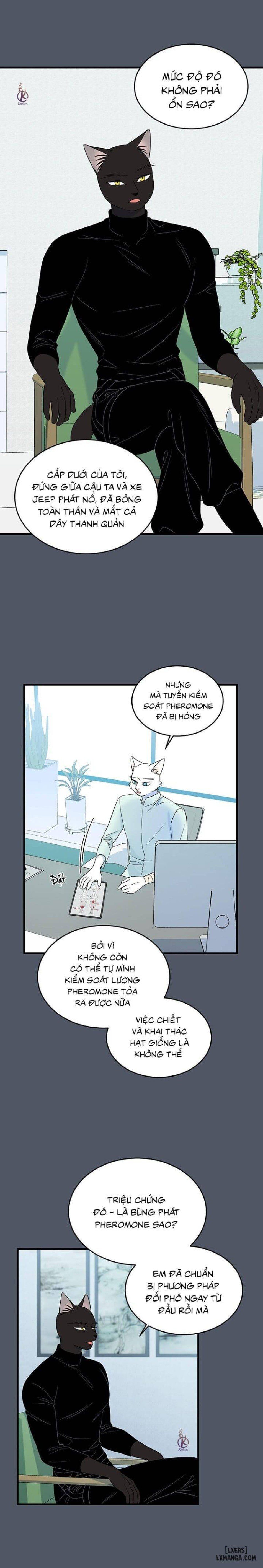 đọc truyện Dự Án Xanh Chương 42 ảnh 10 tại Thiên Thai Truyện