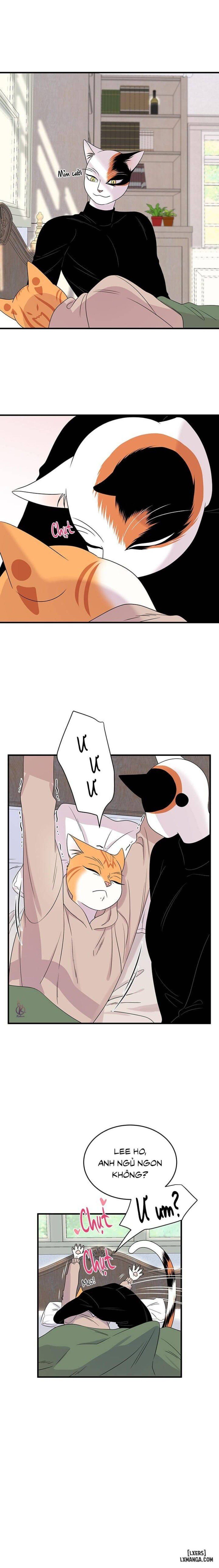 đọc truyện Dự Án Xanh Chương 43 ảnh 3 tại Thiên Thai Truyện