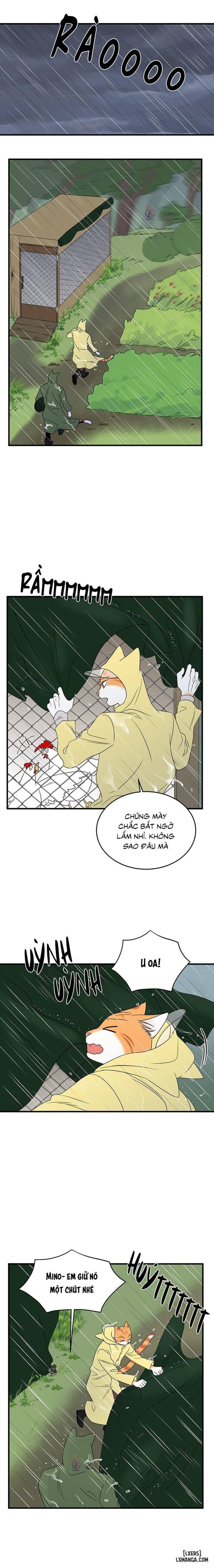 đọc truyện Dự Án Xanh Chương 43 ảnh 12 tại Thiên Thai Truyện