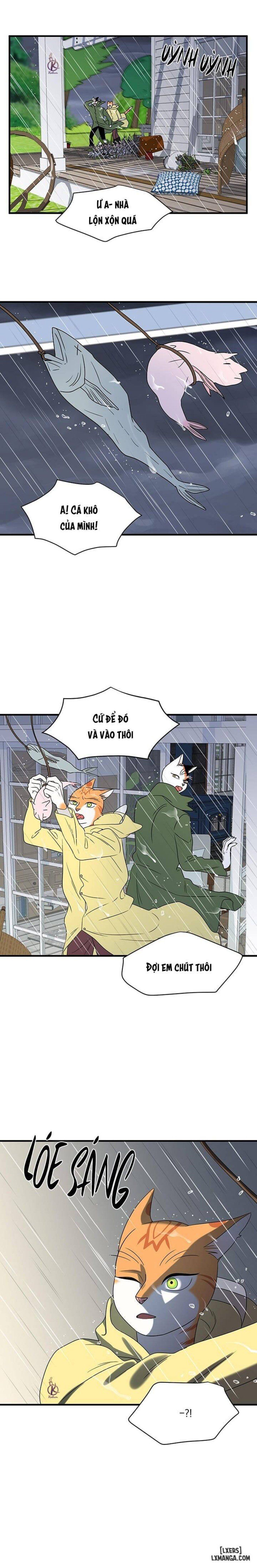 đọc truyện Dự Án Xanh Chương 43 ảnh 14 tại Thiên Thai Truyện