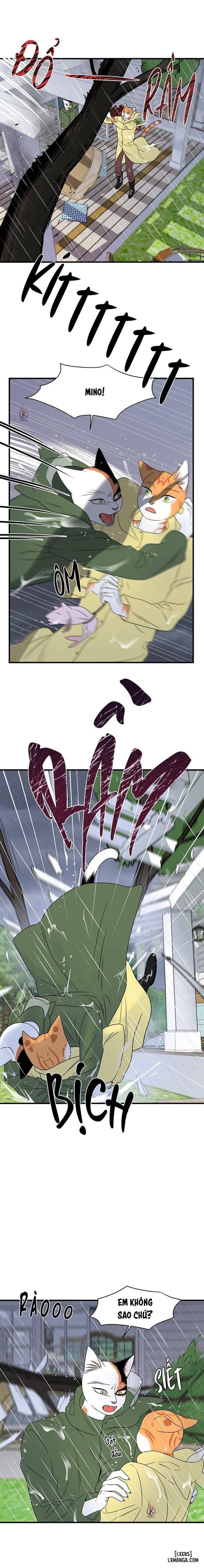 đọc truyện Dự Án Xanh Chương 43 ảnh 16 tại Thiên Thai Truyện