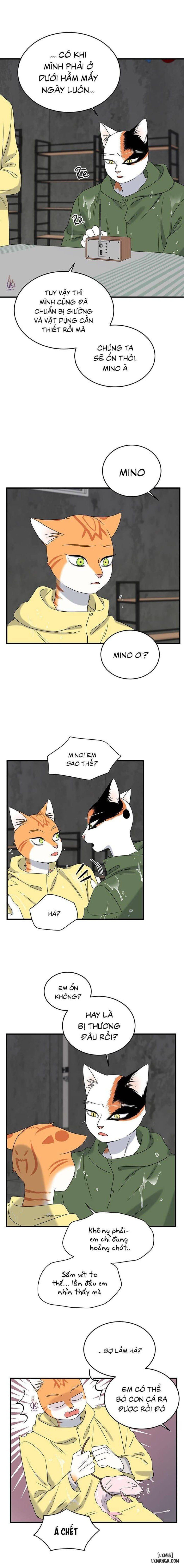 đọc truyện Dự Án Xanh Chương 43 ảnh 18 tại Thiên Thai Truyện