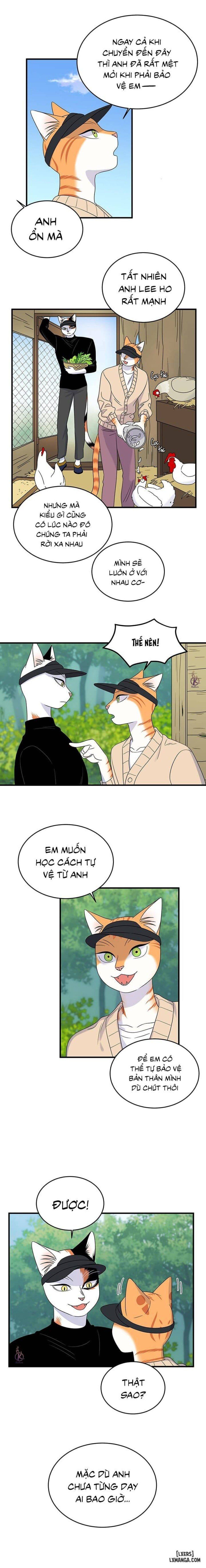 đọc truyện Dự Án Xanh Chương 43 ảnh 5 tại Thiên Thai Truyện