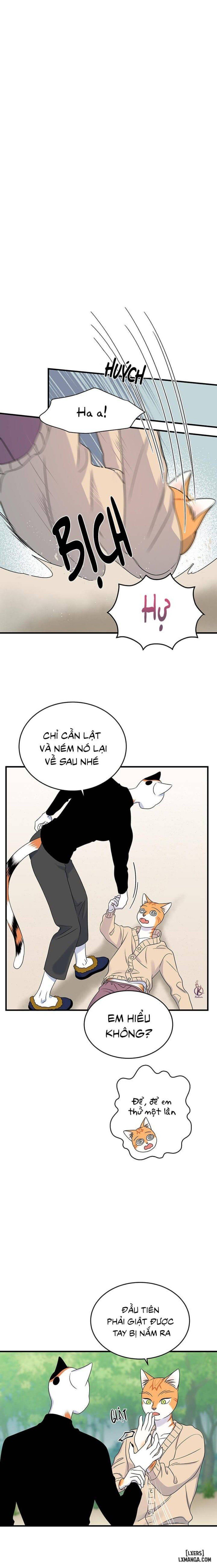 đọc truyện Dự Án Xanh Chương 43 ảnh 6 tại Thiên Thai Truyện