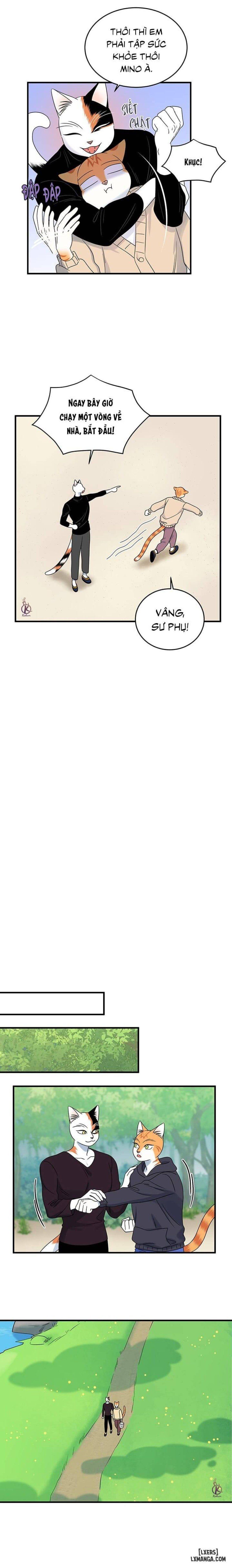 đọc truyện Dự Án Xanh Chương 43 ảnh 8 tại Thiên Thai Truyện