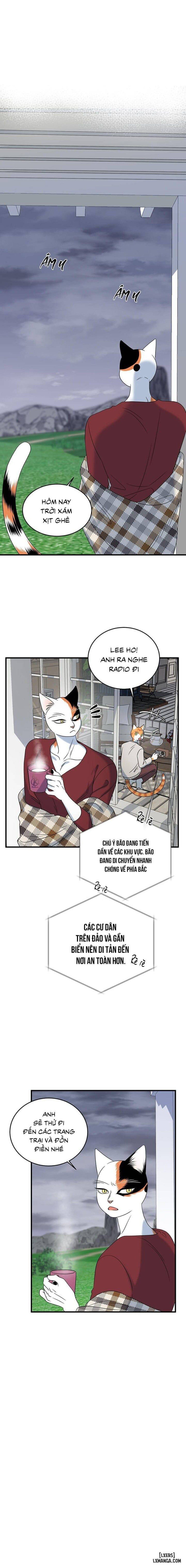 đọc truyện Dự Án Xanh Chương 43 ảnh 11 tại Thiên Thai Truyện