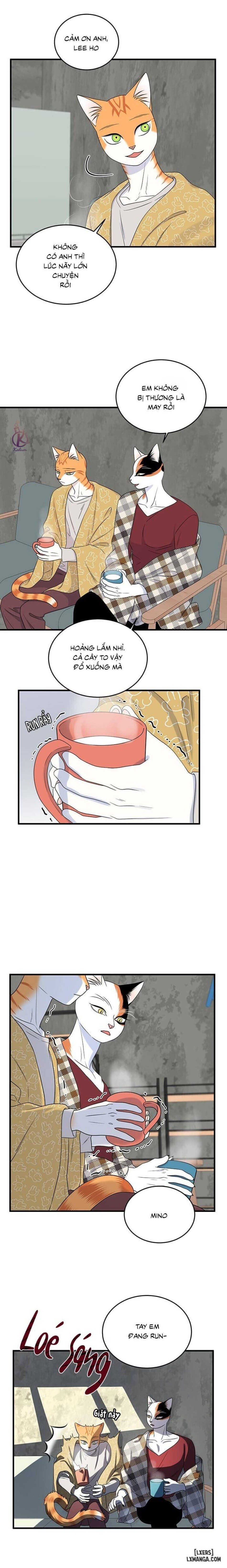 đọc truyện Dự Án Xanh Chương 44 ảnh 3 tại Thiên Thai Truyện