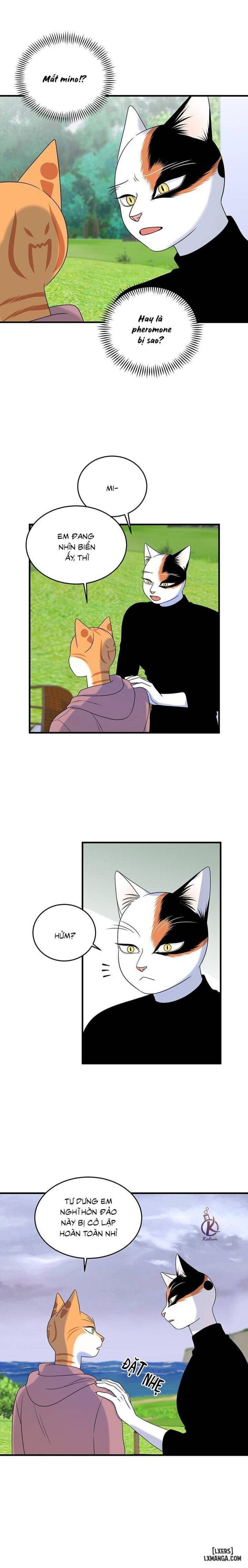 đọc truyện Dự Án Xanh Chương 44 ảnh 12 tại Thiên Thai Truyện