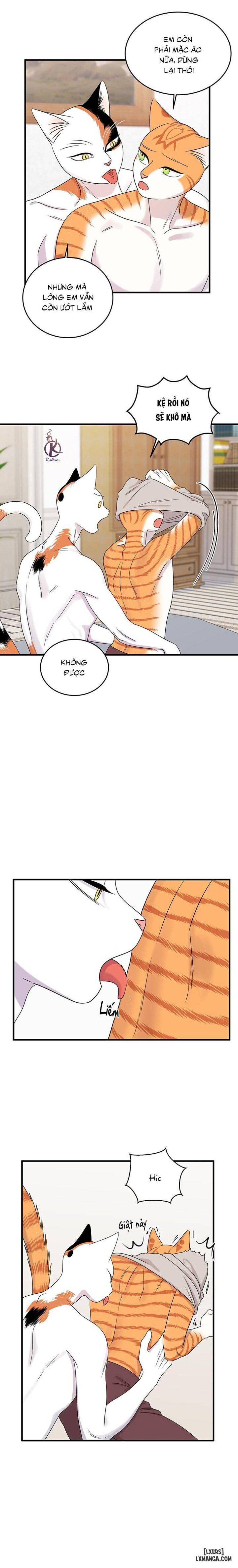 đọc truyện Dự Án Xanh Chương 44 ảnh 16 tại Thiên Thai Truyện