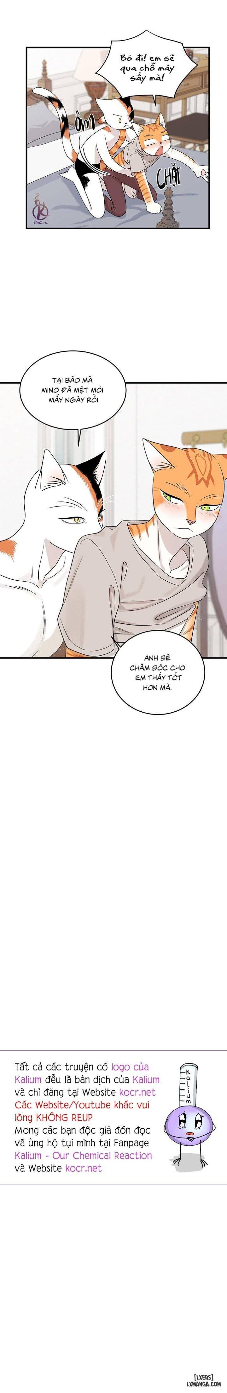 đọc truyện Dự Án Xanh Chương 44 ảnh 17 tại Thiên Thai Truyện