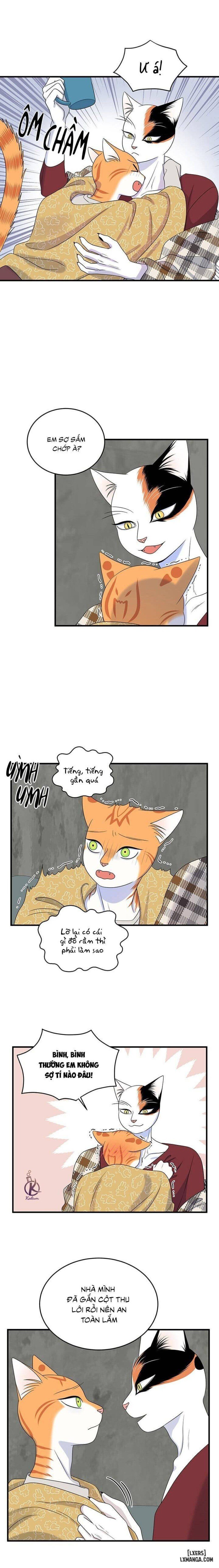 đọc truyện Dự Án Xanh Chương 44 ảnh 4 tại Thiên Thai Truyện