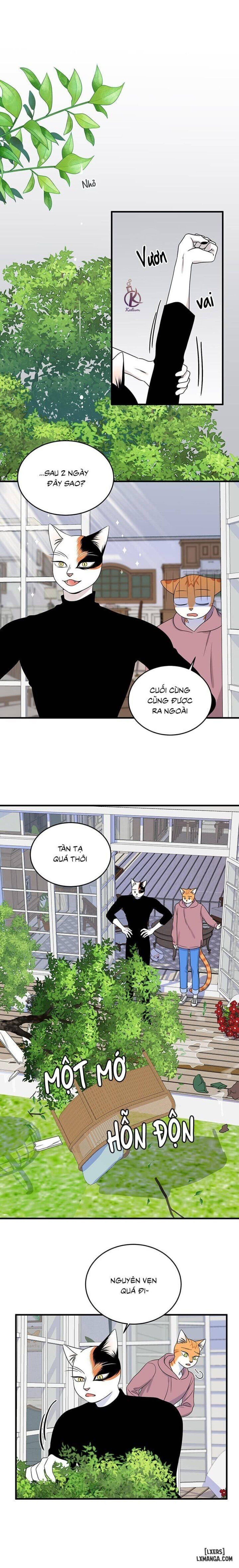 đọc truyện Dự Án Xanh Chương 44 ảnh 7 tại Thiên Thai Truyện