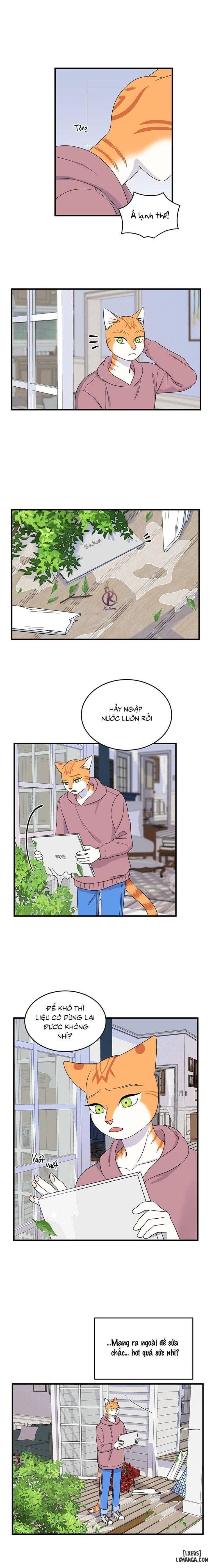 đọc truyện Dự Án Xanh Chương 44 ảnh 8 tại Thiên Thai Truyện