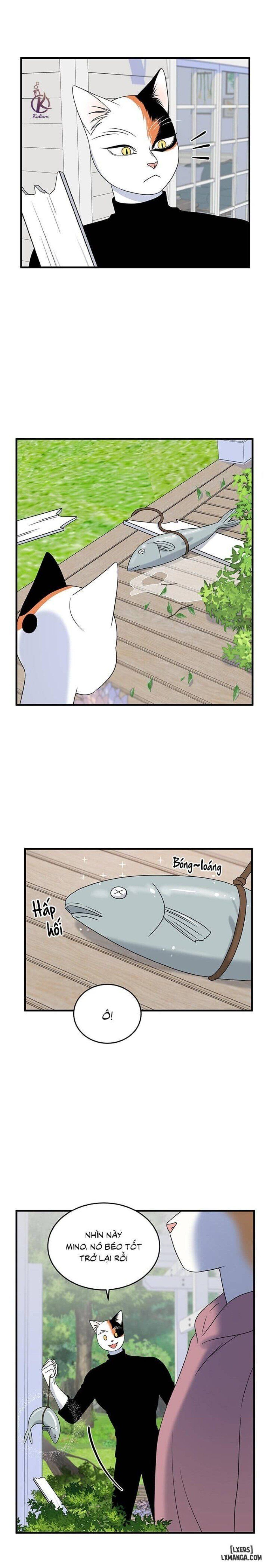 đọc truyện Dự Án Xanh Chương 44 ảnh 10 tại Thiên Thai Truyện