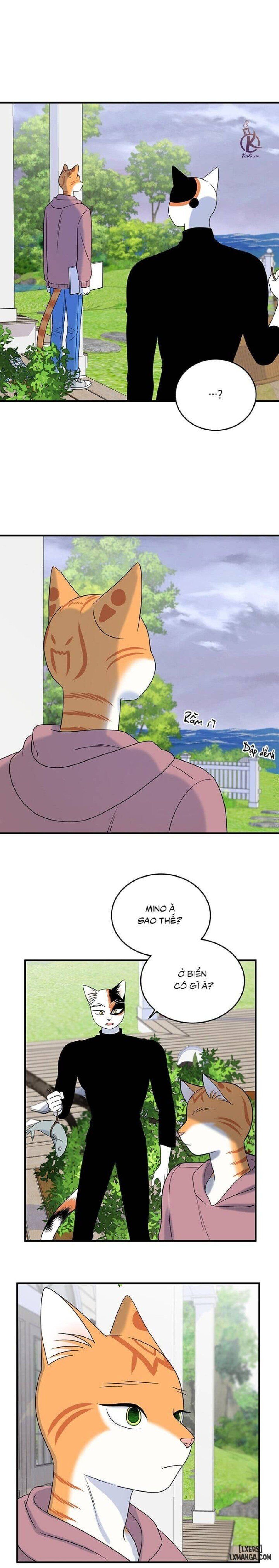 đọc truyện Dự Án Xanh Chương 44 ảnh 11 tại Thiên Thai Truyện