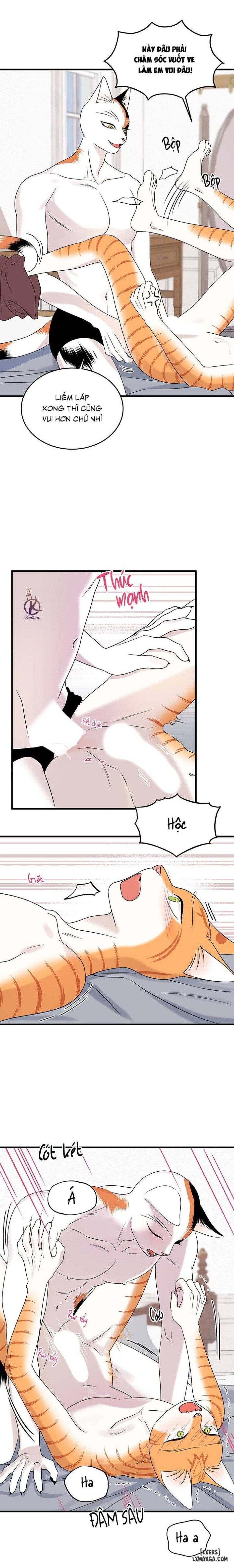 đọc truyện Dự Án Xanh Chương 45 ảnh 12 tại Thiên Thai Truyện